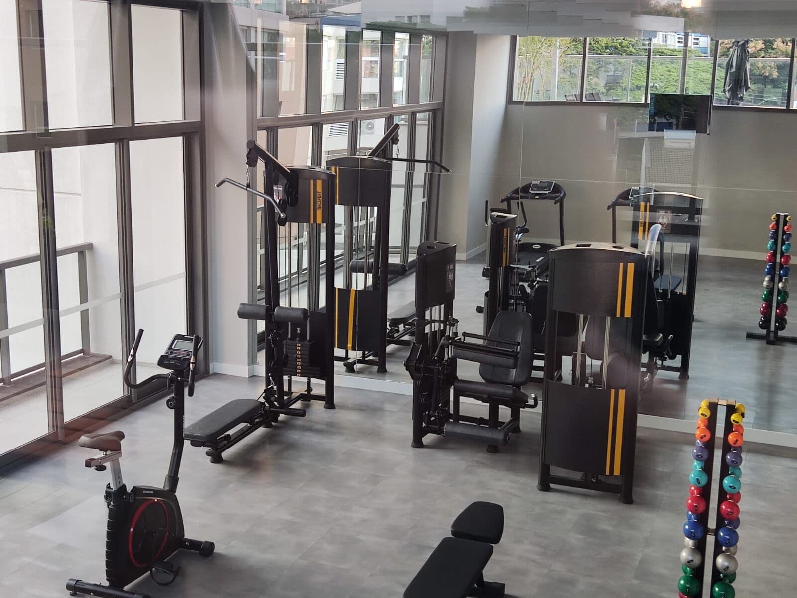 Charlie Domy Paraíso